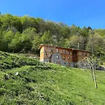 Apartment - Treeb Breva