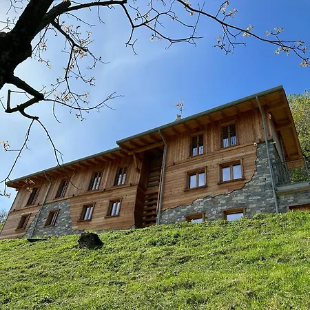 - Treeb Breva Daire *