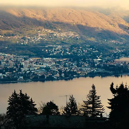 - Treeb Breva Daire *